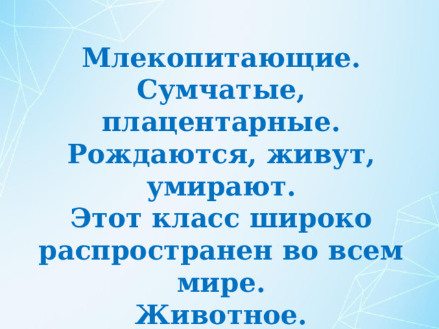 Млекопитающие.  Сумчатые, плацентарные.  Рождаются, живут, умирают.  Этот класс широко распространен во всем мире.  Животное.  