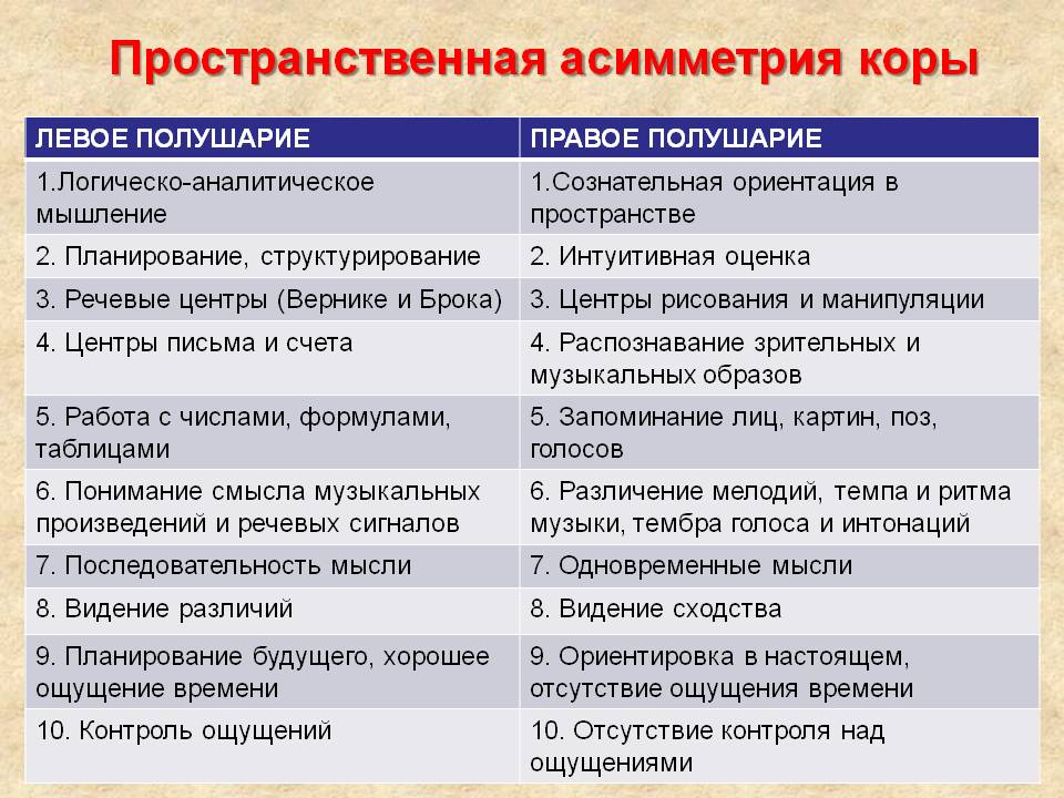 Для правого полушария характерны. Функции правого полушария. Функции левого и правого полушария головного мозга.