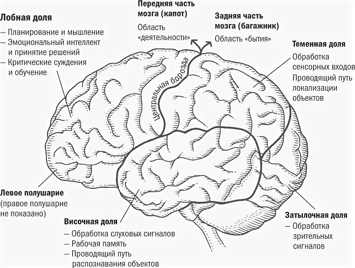 Дополнительный материал для изучения и повторения темы 