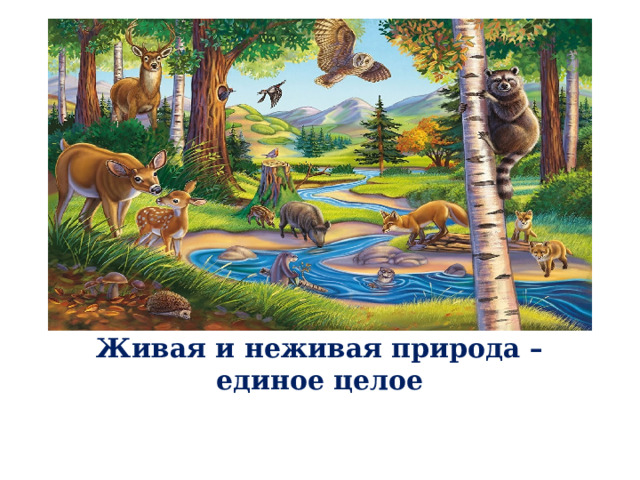  Живая и неживая природа – единое целое 