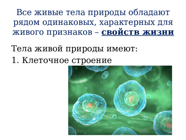 Все живые тела природы обладают рядом одинаковых, характерных для живого признаков – свойств жизни Тела живой природы имеют: 1. Клеточное строение 