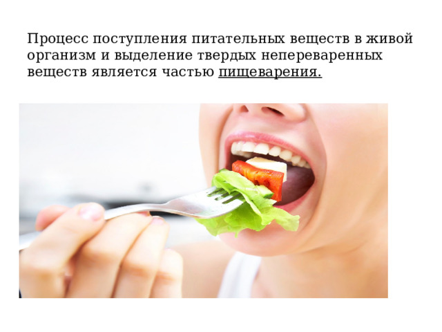 Процесс поступления питательных веществ в живой организм и выделение твердых непереваренных веществ является частью пищеварения. 