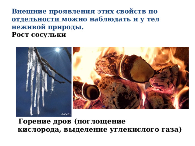 Внешние проявления этих свойств по отдельности можно наблюдать и у тел неживой природы.  Рост сосульки Горение дров (поглощение кислорода, выделение углекислого газа) 