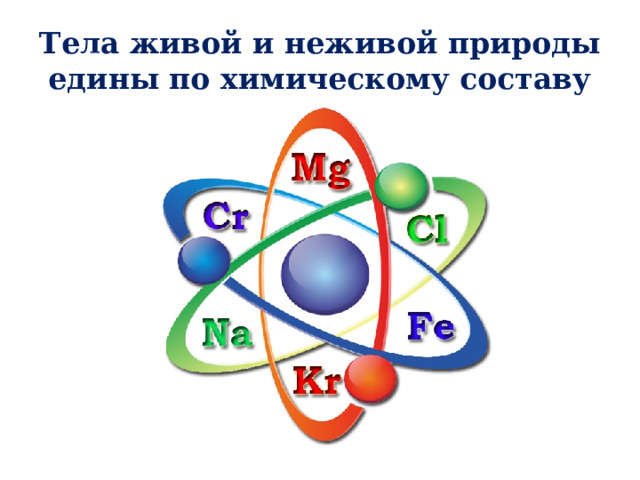 Тела живой и неживой природы едины по химическому составу 