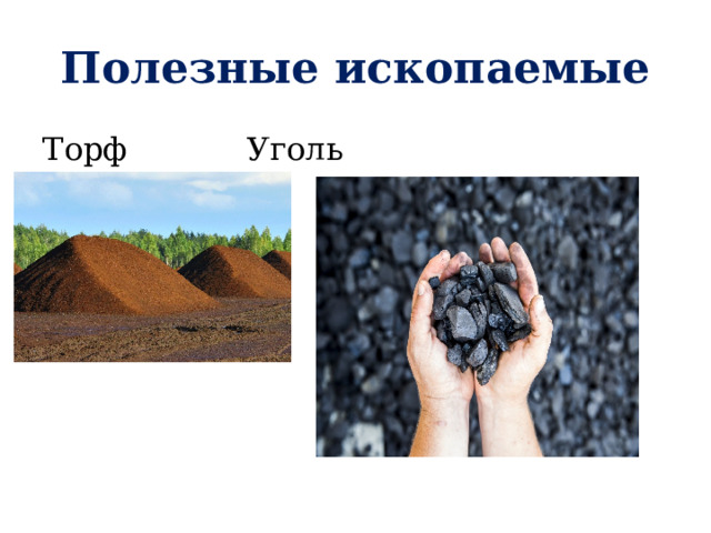 Полезные ископаемые Торф     Уголь 