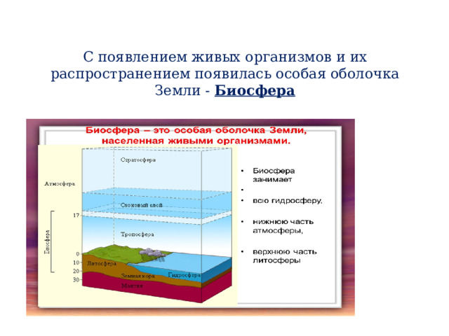 С появлением живых организмов и их распространением появилась особая оболочка Земли - Биосфера 