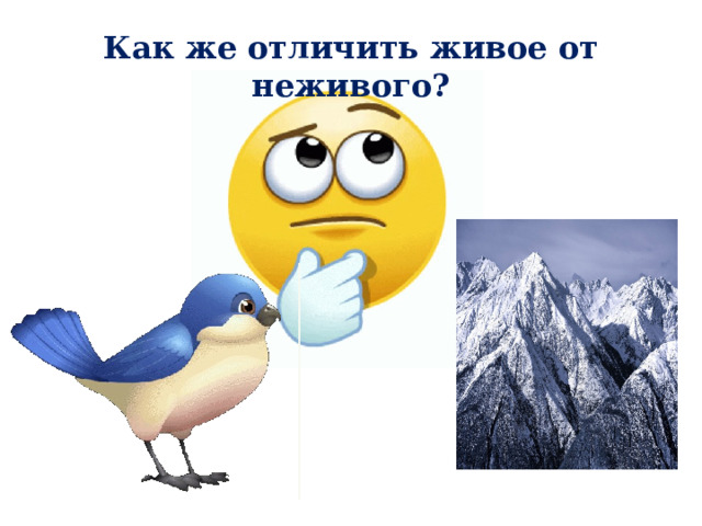 Как же отличить живое от неживого? 