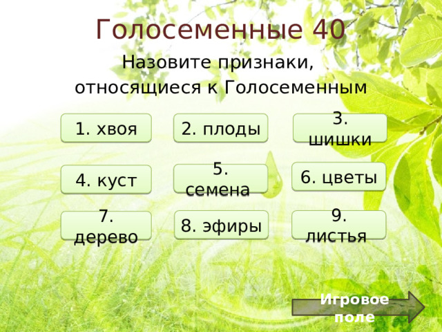Голосеменные 40 Назовите признаки, относящиеся к Голосеменным 1. хвоя 2. плоды 3. шишки 6. цветы 5. семена 4. куст 8. эфиры 9. листья 7. дерево Игровое поле 