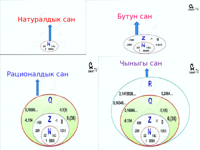 Бутун сан Натуралдык сан Чыныгы сан Рационалдык сан 