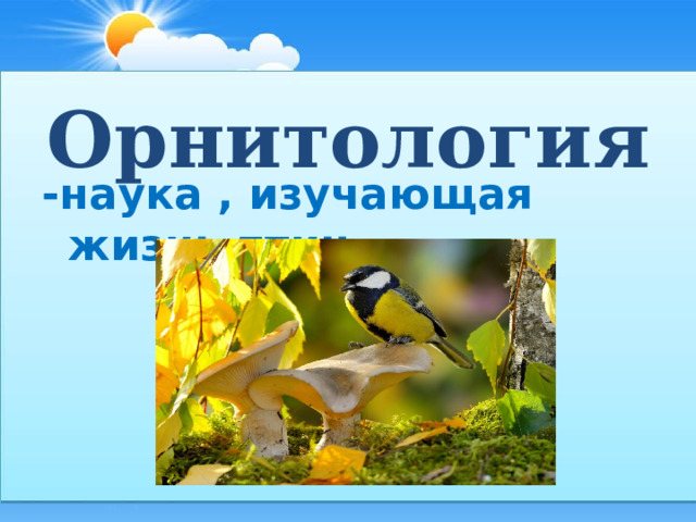  Орнитология  -наука , изучающая жизнь птиц.    