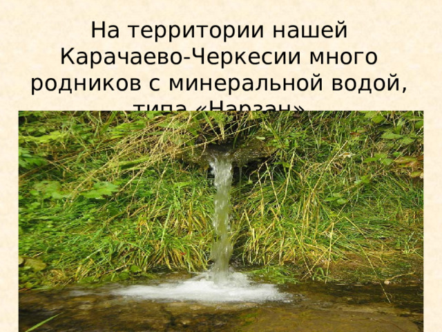 На территории нашей Карачаево-Черкесии много родников с минеральной водой, типа «Нарзан» 