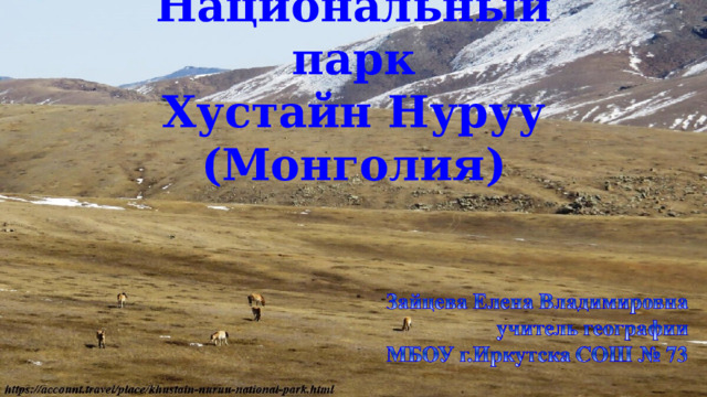 Национальный парк Хустайн Нуруу (Монголия) 