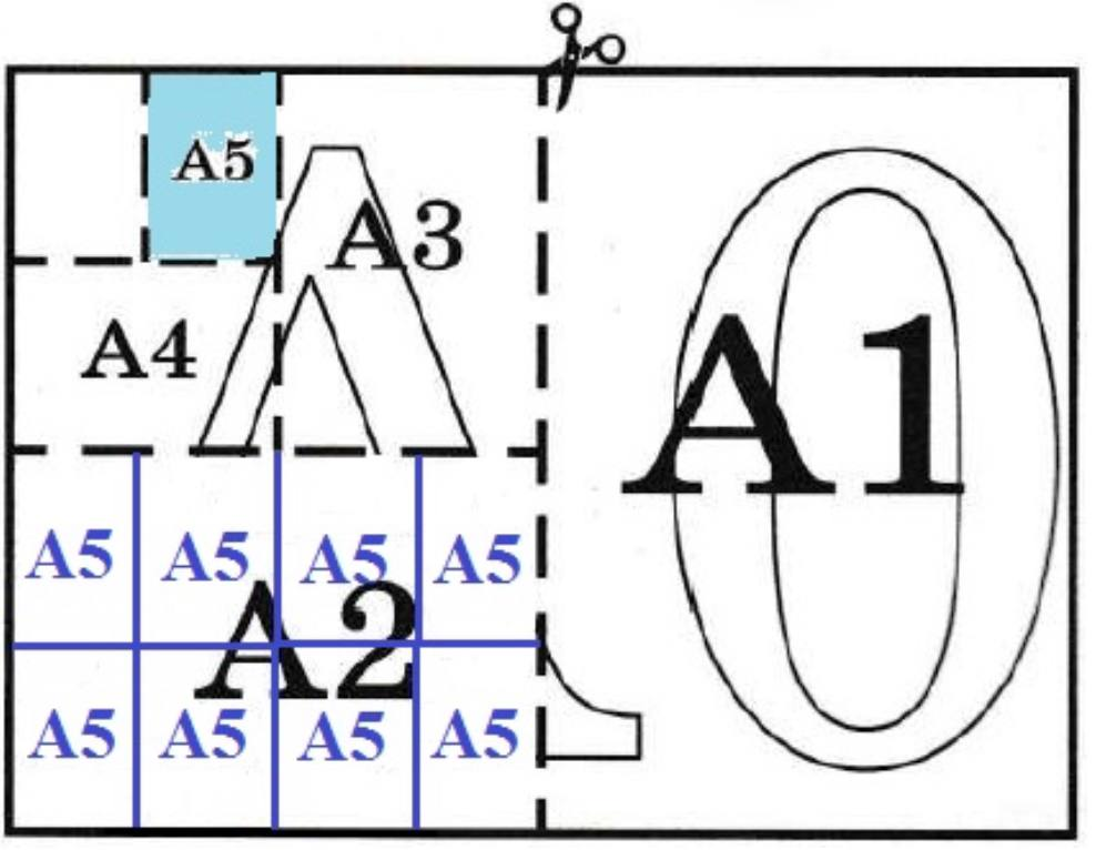 Сколько листов а5 получится из одного а0. Формат листа а5. Формат а5 в см. Площадь листа а5. Сколько листов формата а 5 получится из 1 листа формата а 0.