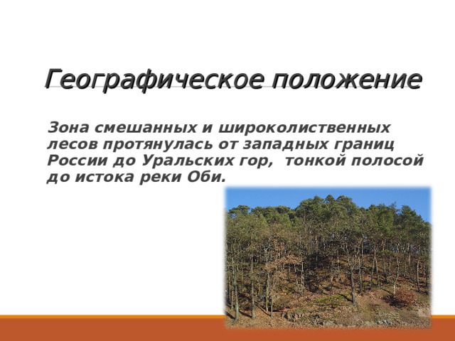 Географическое положение Зона смешанных и широколиственных лесов протянулась от западных границ России до Уральских гор, тонкой полосой до истока реки Оби. 