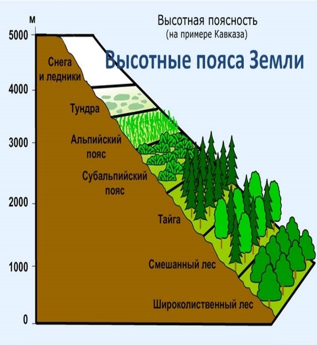 Природные зоны кавказских гор таблица. Высокая пояность кавказских гор. Высотная поясность уральских гор гор. Высотная поястностькавказских гор. Схема ВЫСОТНОЙ поясности гор Кавказа.