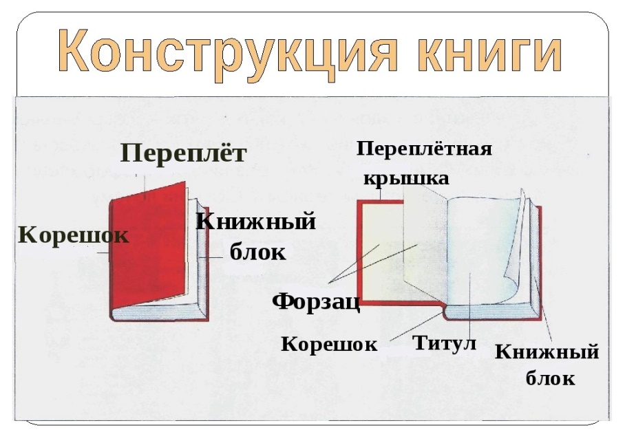 Корешок рабочего листа. Название частей книги. Части книги как называются. Части книги для детей. Элементы книги для детей.