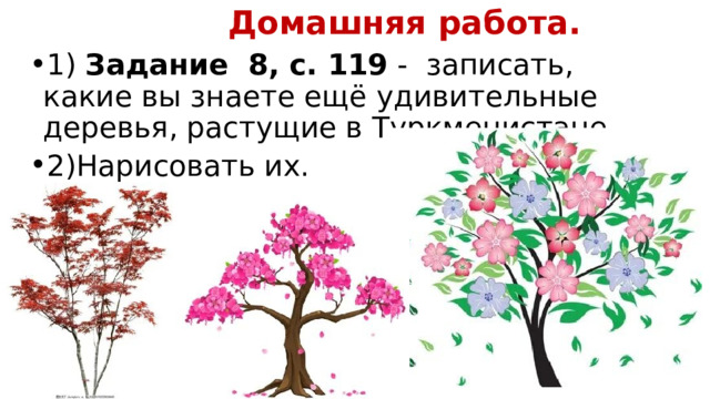  Домашняя работа. 1) Задание 8, с. 119 - записать, какие вы знаете ещё удивительные деревья, растущие в Туркменистане. 2)Нарисовать их. 
