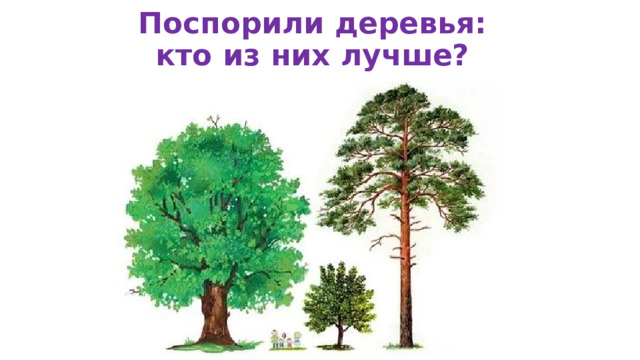 Поспорили деревья:  кто из них лучше? 