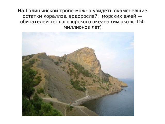 На Голицынской тропе можно увидеть окаменевшие остатки кораллов, водорослей,  морских ежей — обитателей тёплого юрского океана (им около 150 миллионов лет) 