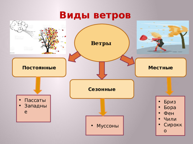 Виды ветров Ветры  Постоянные Местные Сезонные Пассаты Западные Бриз Бора Фен Чили Сирокко Муссоны 