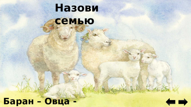 Назови семью Баран – Овца - Ягнята 