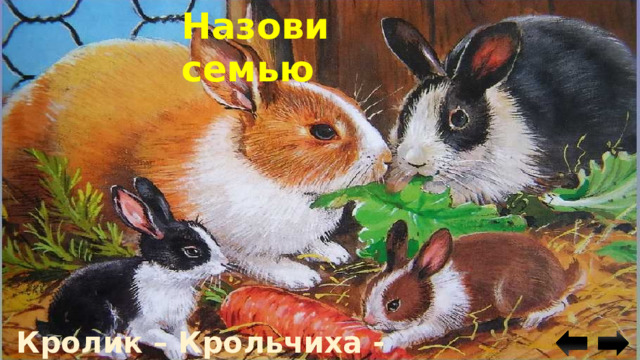 Назови семью Кролик – Крольчиха - Крольчата 