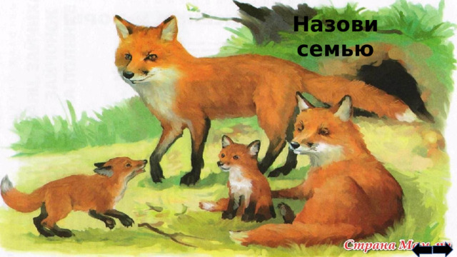 Назови семью 