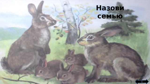 Назови семью 