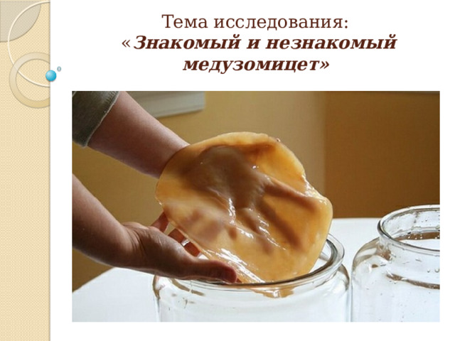Тема исследования:  « Знакомый и незнакомый медузомицет» 