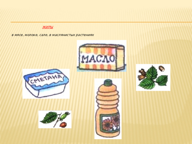  Жиры   в мясе, молоке, сале, в маслянистых растениях   