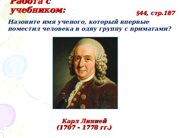 Работа с учебником: §44, стр.187 Назовите имя ученого, который впервые поместил человека в одну группу с приматами? Карл Линней (1707 – 1778 гг.) 