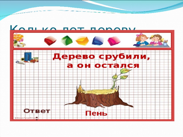 Колько лет дереву 