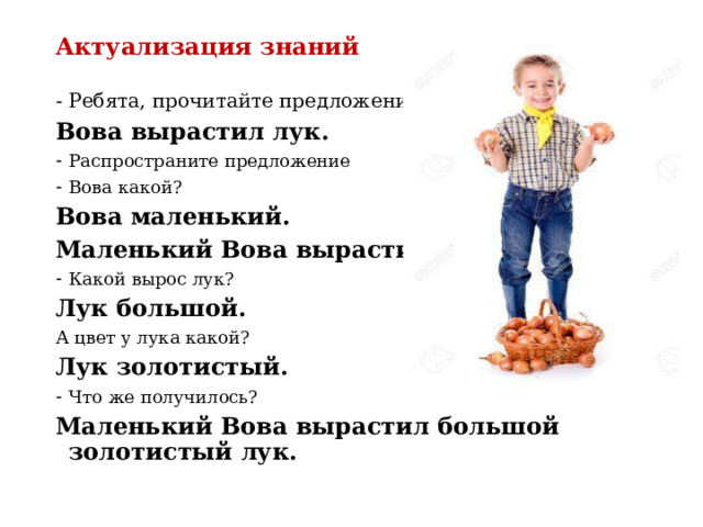Актуализация знаний Ребята, прочитайте предложение Вова вырастил лук. Распространите предложение Вова какой? Вова маленький. Маленький Вова вырастил лук. Какой вырос лук? Лук большой. А цвет у лука какой? Лук золотистый. Что же получилось? Маленький Вова вырастил большой золотистый лук. 