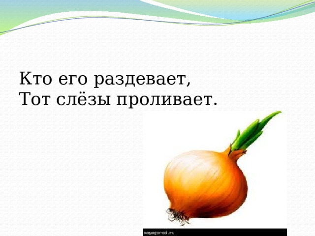 Кто его раздевает,  Тот слёзы проливает. 