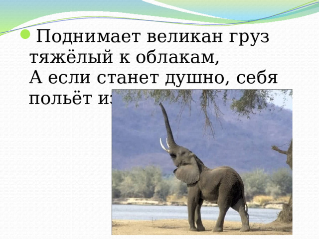 Поднимает великан груз тяжёлый к облакам,  А если станет душно, себя польёт из душа. 