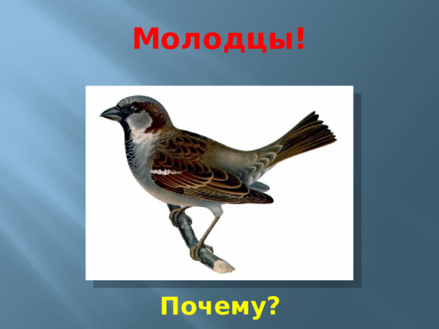 Молодцы! Почему? 