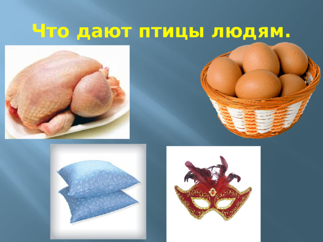 Что дают птицы людям. 
