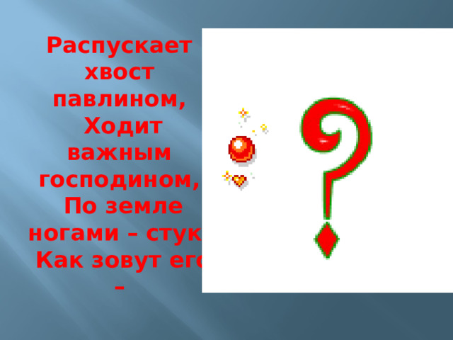 Распускает хвост павлином,  Ходит важным господином,  По земле ногами – стук,  Как зовут его – 