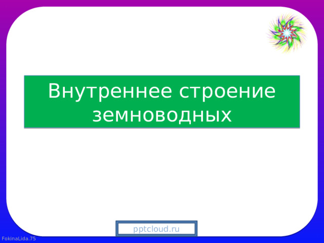 Внутреннее строение земноводных pptcloud.ru 
