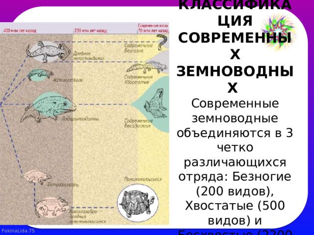 ВИДОВОЕ РАЗНООБРАЗИЕ И КЛАССИФИКАЦИЯ СОВРЕМЕННЫХ ЗЕМНОВОДНЫХ  Современные земноводные объединяются в 3 четко различающихся отряда: Безногие (200 видов), Хвостатые (500 видов) и Бесхвостые (2200 видов ).   