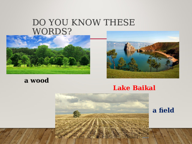 DO YOU KNOW THESE WORDS? a wood Lake Baikal a field 