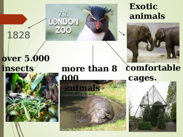 Exotic animals  1828 over 5.000 insects  comfortable  cages. more than 8 000  animals  