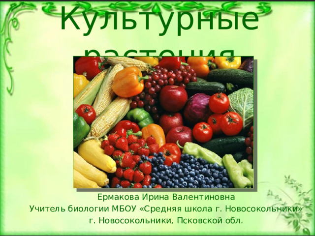 Культурные растения Ермакова Ирина Валентиновна Учитель биологии МБОУ «Средняя школа г. Новосокольники» г. Новосокольники, Псковской обл. 