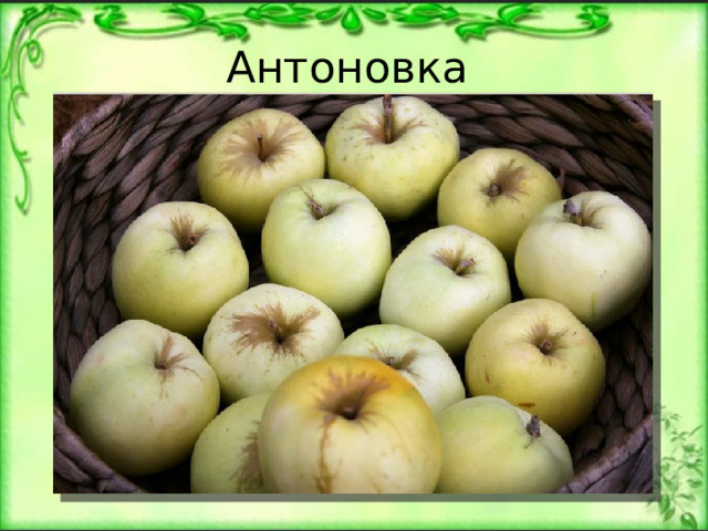 Антоновка 