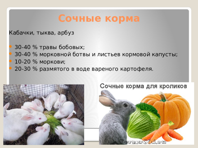 Сочные корма Кабачки, тыква, арбуз 30-40 % травы бобовых; 30-40 % морковной ботвы и листьев кормовой капусты; 10-20 % моркови; 20-30 % размятого в воде вареного картофеля. 
