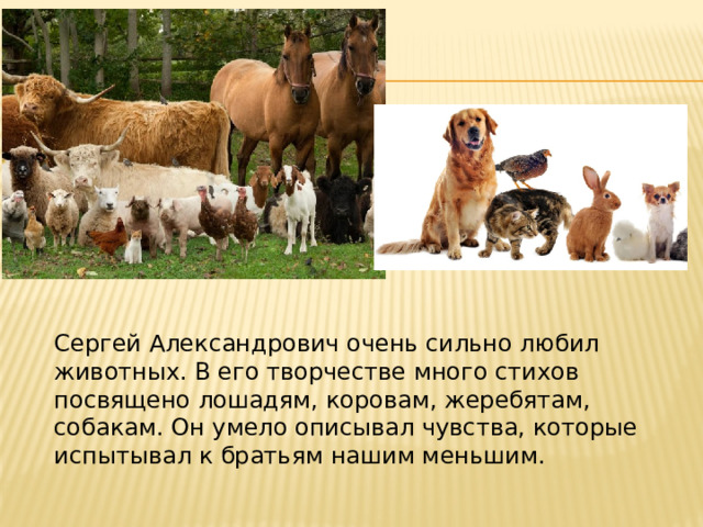Сергей Александрович очень сильно любил животных. В его творчестве много стихов посвящено лошадям, коровам, жеребятам, собакам. Он умело описывал чувства, которые испытывал к братьям нашим меньшим. 