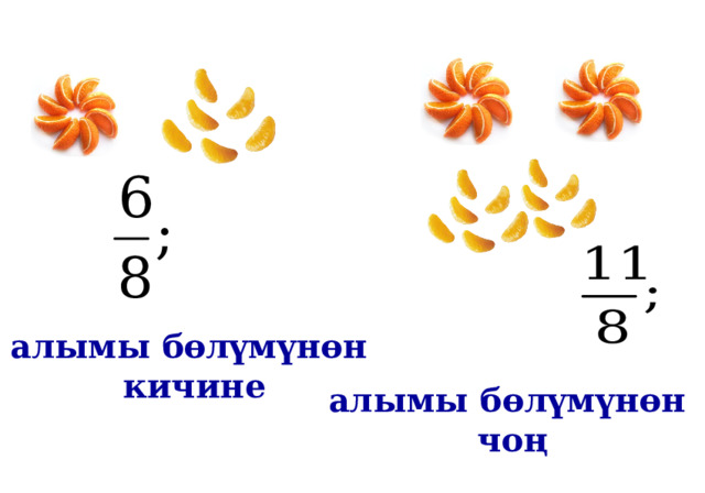 алымы бөлүмүнөн  кичине алымы бөлүмүнөн  чоң 