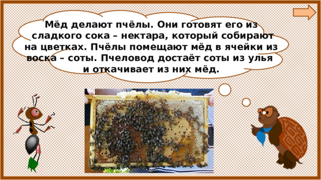 Мёд делают пчёлы. Они готовят его из  сладкого сока – нектара, который собирают на цветках. Пчёлы помещают мёд в ячейки из воска – соты. Пчеловод достаёт соты из улья и откачивает из них мёд. 