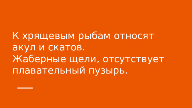 К хрящевым рыбам относят акул и скатов.  Жаберные щели, отсутствует плавательный пузырь. 