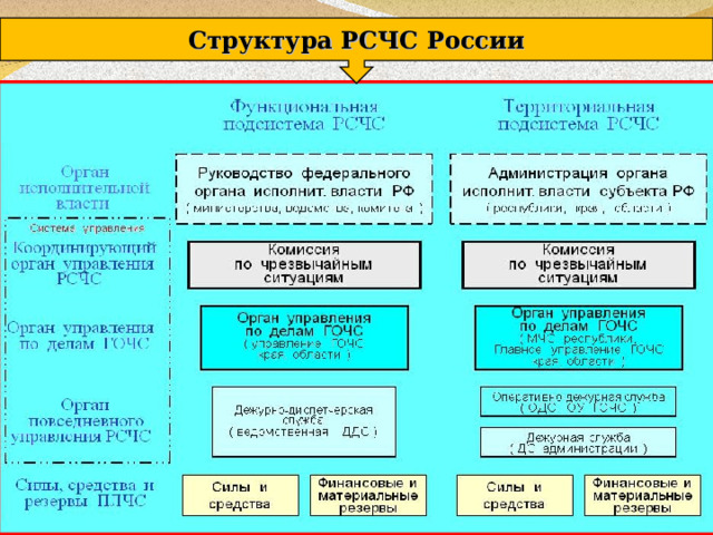 Структура РСЧС России 